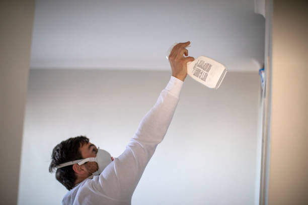 Best Mold Remediation  in Lower Grand Lagoon, FL